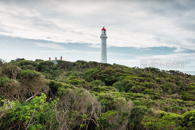 澳大利亚大洋路的Split Point lighthouse
